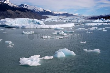 Glacier Upsala Patagonie Argentine