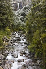 Creek below Punchbowl Falls at Arthur's Pass New Zealand