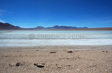 Laguna Blanca Altiplano Bolivia