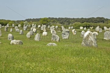 Megaliths -Ausrichtungen von Menec Carnac Morbihan Frankreich