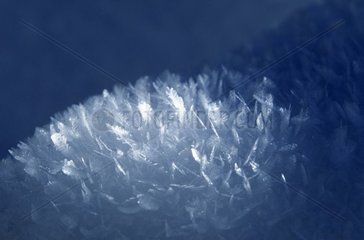 Gros plan de cristaux de neige France