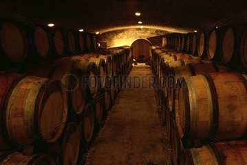 Weinkeller und Fässer  um das Alter zum Wein in Burgund zu machen