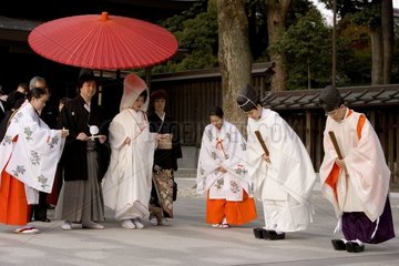 Traditional wedding in a temple Tokyo Japan [AT]