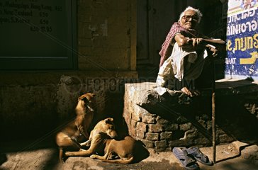 Hunde in Ruhe und Mann sitzen auf einer niedrigen Wand Indien