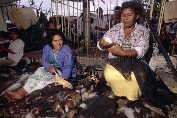 Sale of Guinea-pigs to be eaten Town market Peru