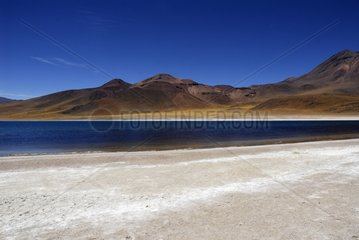 Laguna Miscanti Paso de Sico Atacama Chili