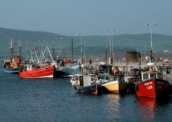 Fishing port of Kerry Dingle Ireland