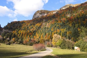 Bujaruelo valley in autumn Pyrenees Spain