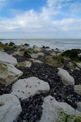 Rocks and pebbles in edge of sea at Tréport Normand Coast