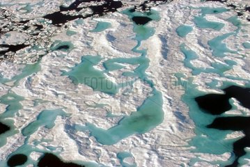 Collapse of ice-floe in july Canadian Arctic