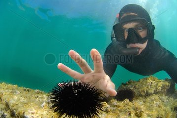 Apneiste pretending to touch a sea urchin Mediterranean Sea