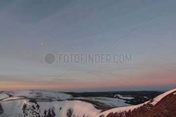 Vosges schneebedeckte Stoppeln am frühen Morgen Vosges
