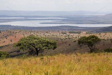 Landscape of savanna with dry grass and water points Rwanda
