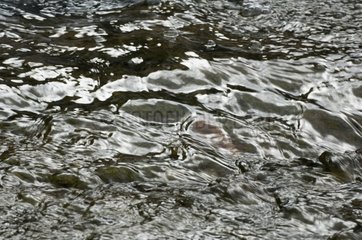 Close-up on moving water