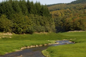 Brook in the Parc Naturel Régional du Morvan in autumn