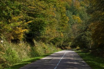Road in the Parc Naturel Régional du Morvan in autumn