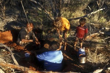 Honey ants gathering by Aboriginal ladies in Australia