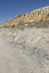 Fossil dunes of Doñana National Park Andalucia