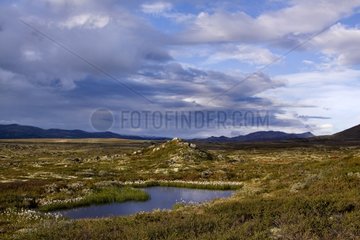 Landscape of Dovrefjell-Sunndalsfjella NP in Norway