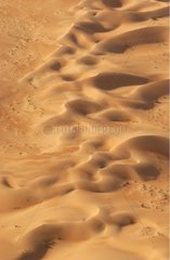 Sand dunes United Arab Emirates