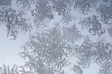 Crystals of frost on a window in winter France