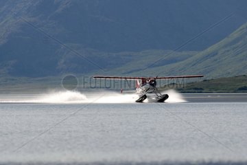 Beaver -Wasserflugzeug landet auf einem Lake Katmai Alaska