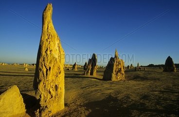 Pinnacles du parc national de Nambung Australie