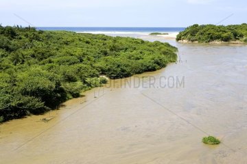 Mündung eines Flusses am Pazifischen Ozean Mexiko