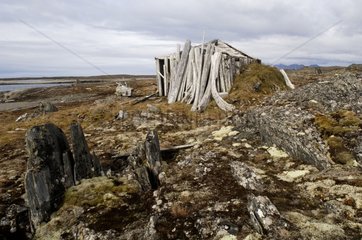Old hut of trapper of 19th Prins Carls Forland