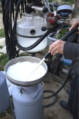 Potting goat milk France