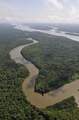 Aerial view of river in forest French Guiana