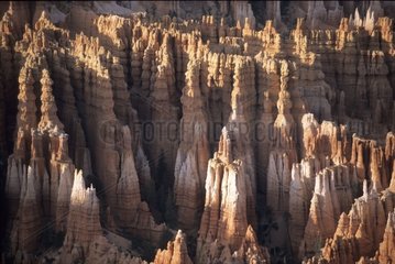 Marques d'érosion dans le parc national de Bryce Canyon Utah