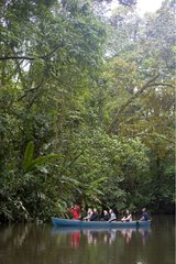 Touristen in einem Ruderboot Tortuguero NP Costa Rica