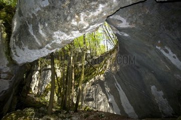 Kalksteinbogen des Bisontin Vallée du Dobbs Cave