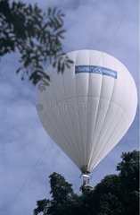 Hot-air balloon above the canopy Panama