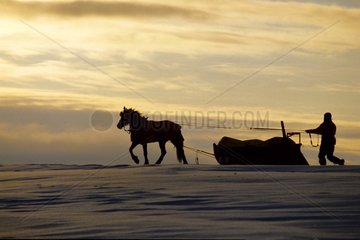 Expédition polaire à cheval Cornwallis Island