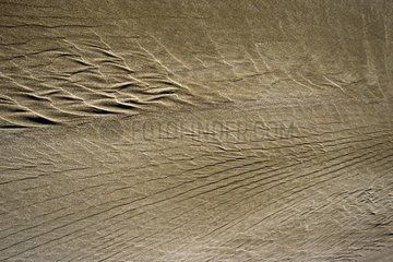 Muster  die von Windspanien auf Sand gezeichnet werden
