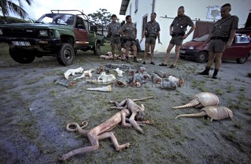 ONCFS nature guards in front of a seizure of poached animals