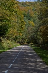 Road in the Parc Naturel Régional du Morvan in autumn