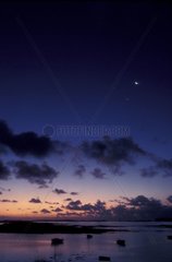 Crescent of the Moon and Jupiter above the sea