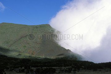 Wolken auf den Strebepfeilern des Piton de la Fournaise