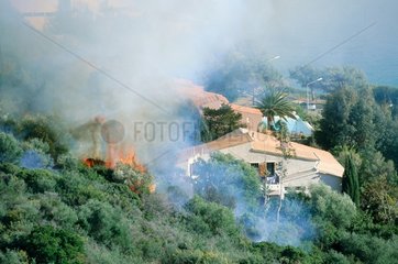 chaque anné  la Corse est ravagée par les incendies.