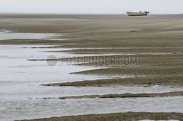 Boot am Sand bei Ebbe Baie de Somme Picardie Frankreich