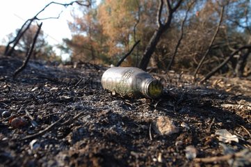 Détritus laissés dans une forêt incendiée Provence