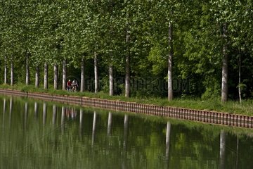 Cyclists along the Bourgogne Canal France