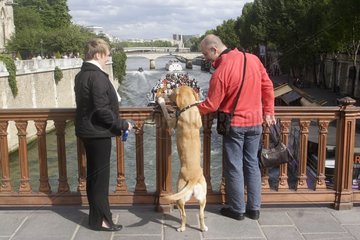 Couple and their curious Labrador Retriever Paris France