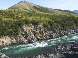 British Monts & canyon of the river FirthYukon Canada
