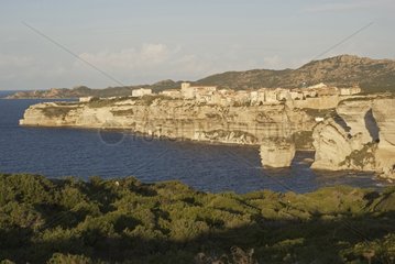 Klippen von Bonifacio Korsika Frankreich