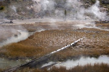 Hot sources in winter Park of Yellowstone United States