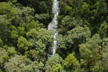 Luftaufnahme des Regenwaldes in der Nähe von Quito Ecuador